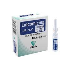 LINCOMICINA 600MG/2ML SOLUCION INYECTABLE I.M/I.V AMPOLLA VITALIS